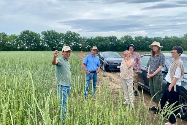 people standing on a field. Photo