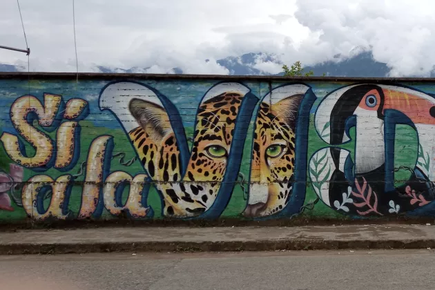 A mural in front of the rainforest. Photo: Juan Samper.