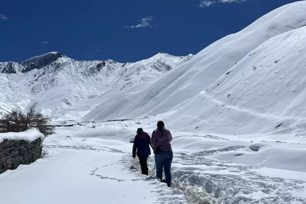 People on a glacier. Photo.