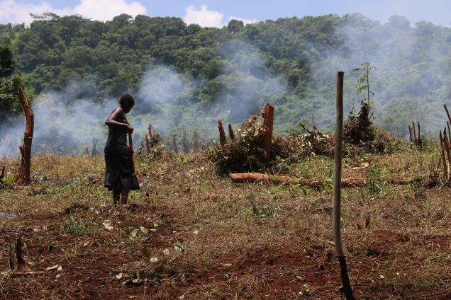 agriculture in sub Saharan Africa. Photo.